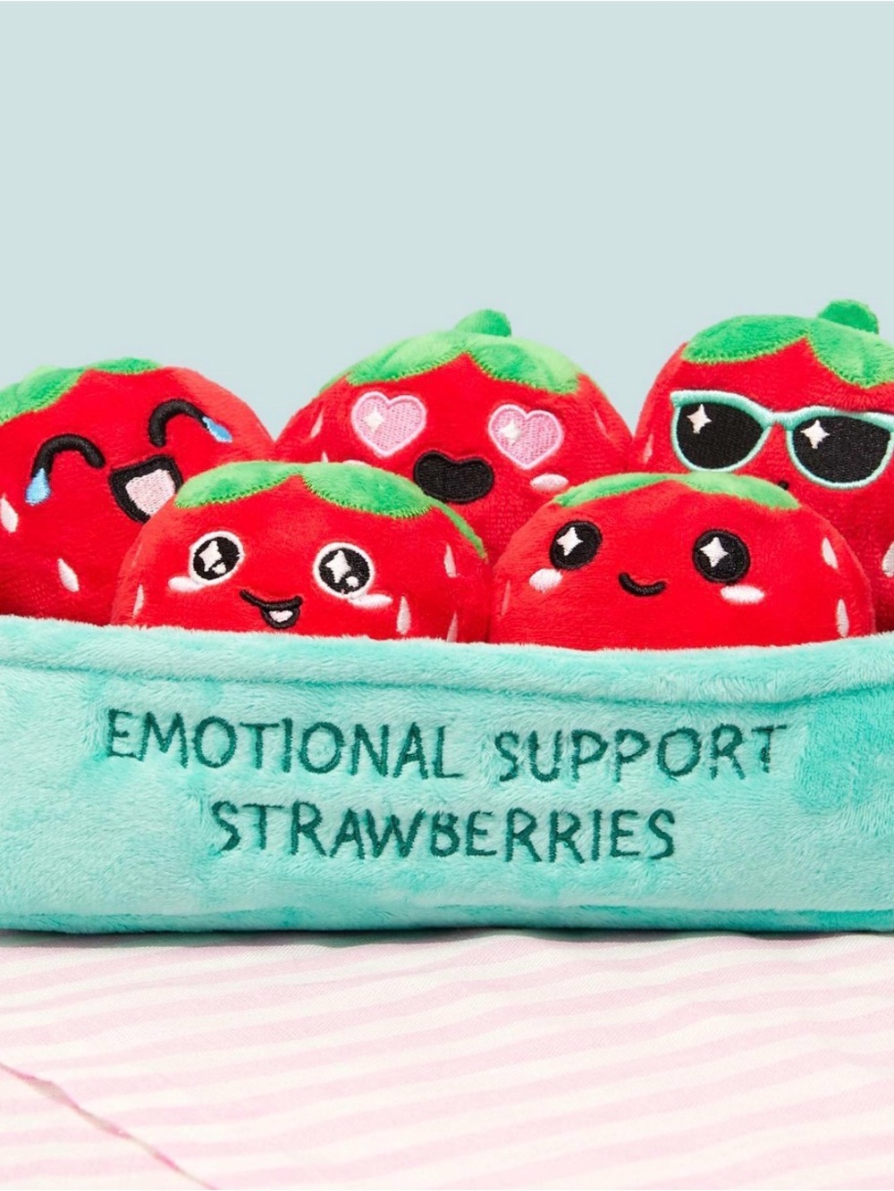 Emotional Support Strawberries Plush Set “WHAT DO YOU MEME?”